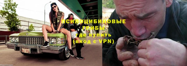 меф Пересвет