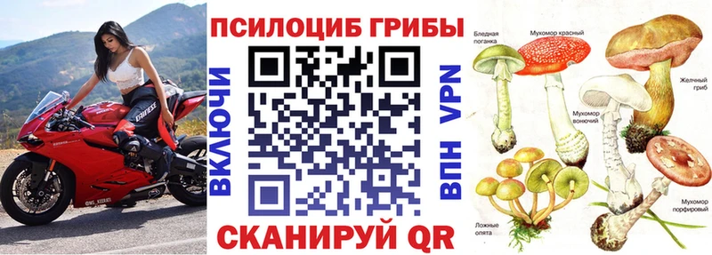 цены   Ак-Довурак  Галлюциногенные грибы мицелий 