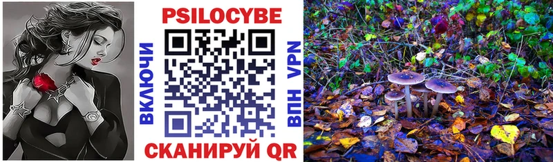 Псилоцибиновые грибы прущие грибы Ак-Довурак